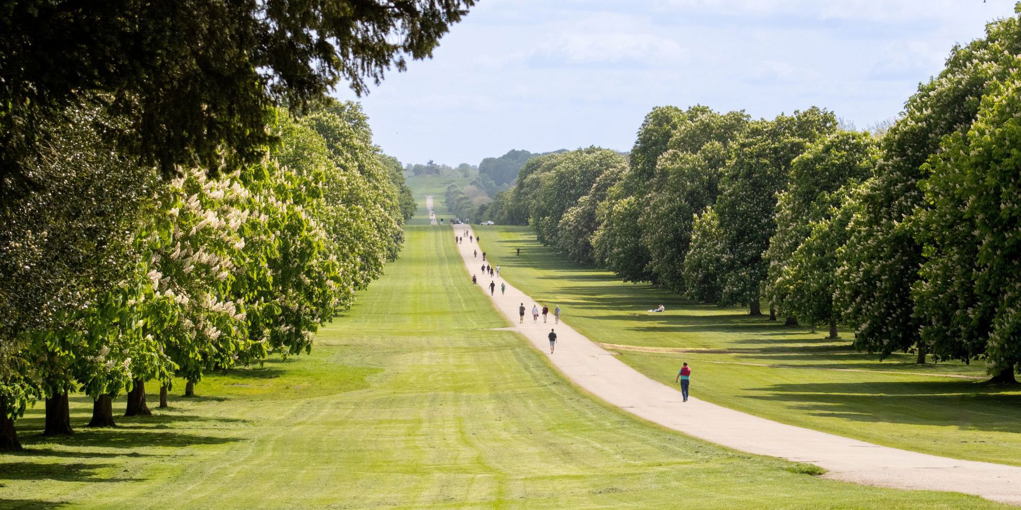 The Long Walk Summer
