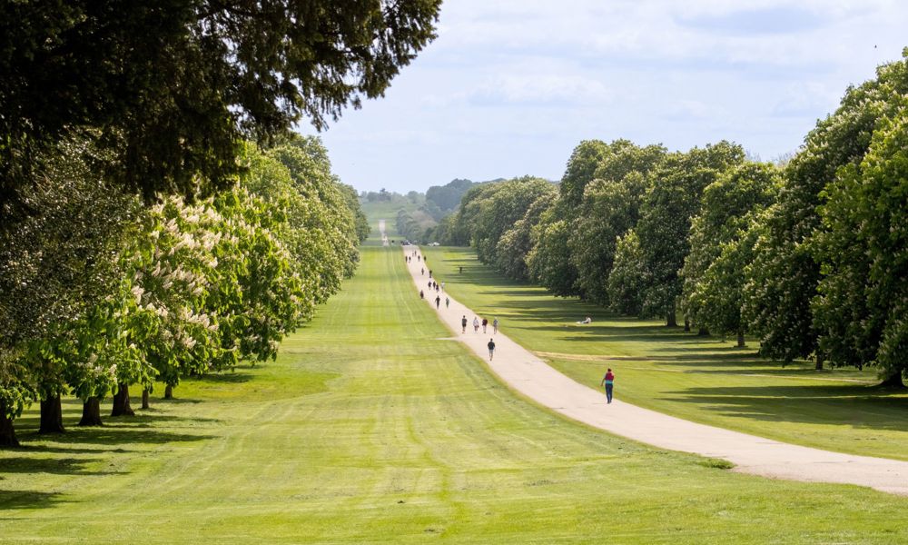 Windsor Long Walk in Winter