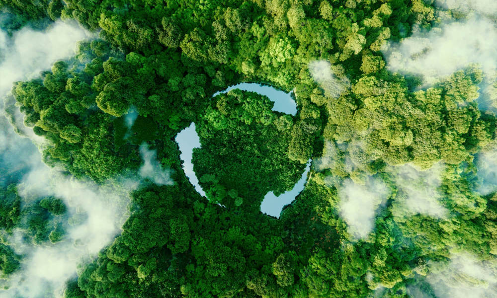 ESG image