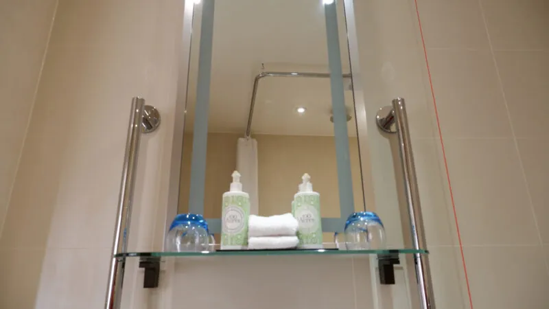 Accessible shower The Castle Hotel