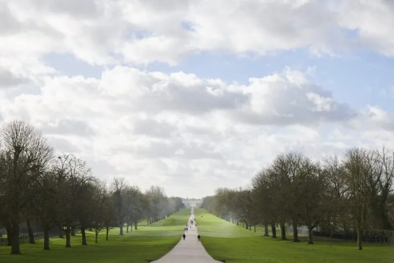 The Long Walk Windsor in Winter